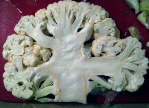 Cauliflower on the Grill